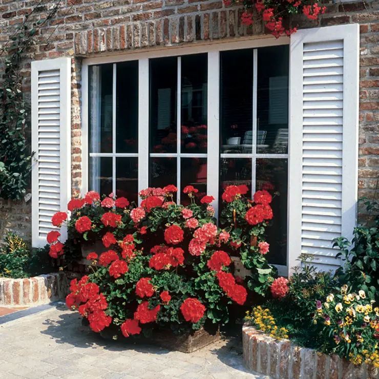 Äußenliegende Dekorative Fenstersprossen